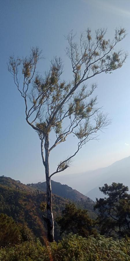 Apartamento Ale Chojeke Kalimpong Exterior foto